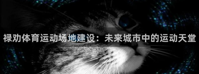 必一运动：禄劝体育运动场地建设：未来城市中的运动天堂