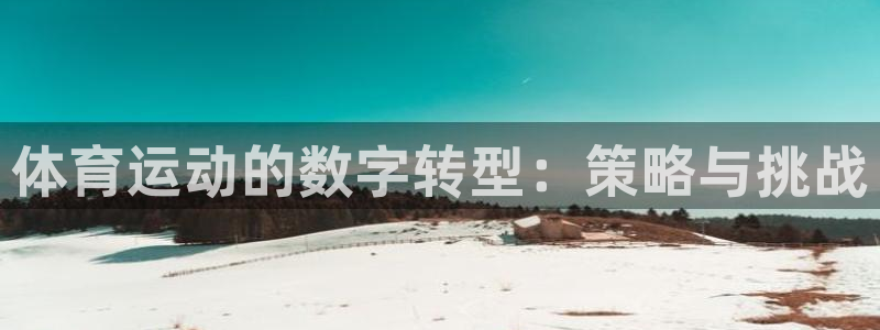 必一运动官网：体育运动的数字转型：策略与挑战