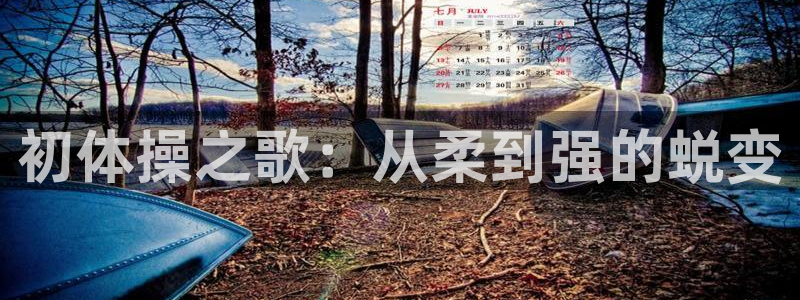 必一运动bsport体育：初体操之歌：从柔到强的蜕变
