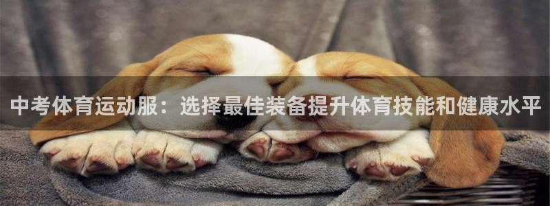 必一运动：中考体育运动服：选择最佳装备提升体育技能和健康水平