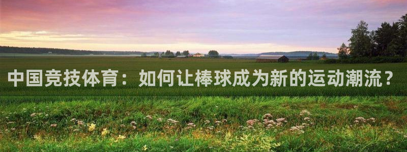必一运动：中国竞技体育：如何让棒球成为新的运动潮流？