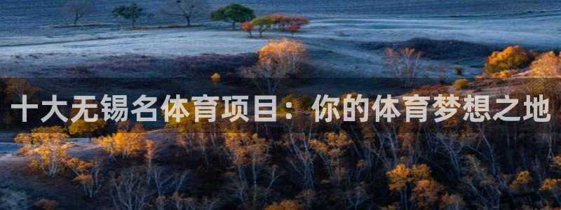 必一运动app：十大无锡名体育项目：你的体育梦想之地