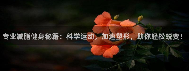 必一运动app：专业减脂健身秘籍：科学运动，加速塑形，助你轻松蜕变！