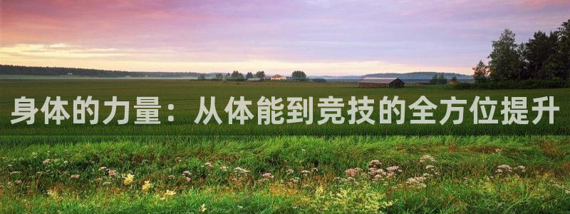 bsports必一运动：身体的力量：从体能到竞技的全方位提升