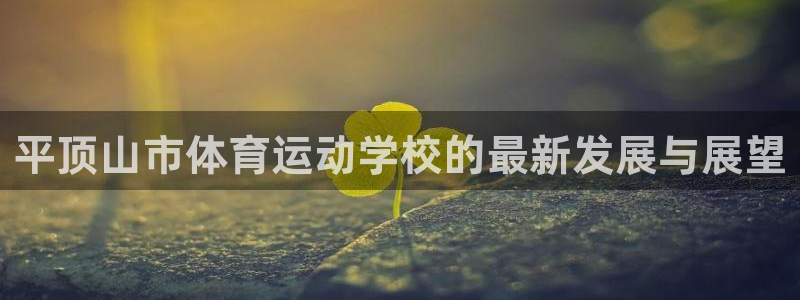 bsports必一运动：平顶山市体育运动学校的最新发展与展望